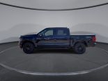 New 2025 Ford F-150 XLT 4x4 SuperCrew 5.5' Box