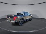 New 2025 Ford F-150 XLT 4x4 SuperCrew 5.5' Box