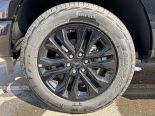 New 2025 Ford F-150 XLT 4x4 SuperCrew 5.5' Box