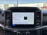 New 2025 Ford F-150 XLT 4x4 SuperCrew 5.5' Box