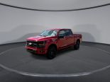 New 2025 Ford F-150 XLT 4x4 SuperCrew 5.5' Box