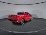 New 2025 Ford F-150 XLT 4x4 SuperCrew 5.5' Box