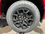 New 2025 Ford F-150 XLT 4x4 SuperCrew 5.5' Box