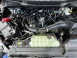 New 2025 Ford F-150 XLT 4x4 SuperCrew 5.5' Box