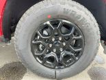 New 2025 Ford F-150 XLT 4x4 SuperCrew 5.5' Box