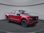 New 2025 Ford F-150 XLT 4x4 SuperCrew 5.5' Box