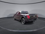 New 2025 Ford F-150 STX 4x4 SuperCrew 5.5' Box