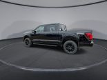 New 2025 Ford F-150 XLT 4x4 SuperCrew 5.5' Box