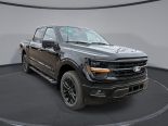 New 2025 Ford F-150 XLT 4x4 SuperCrew 5.5' Box