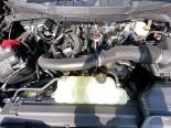 New 2025 Ford F-150 XLT 4x4 SuperCrew 5.5' Box