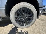 New 2025 Ford F-150 XLT 4x4 SuperCrew 6.5' Box