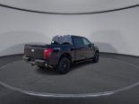 New 2025 Ford F-150 XLT 4x4 SuperCrew 5.5' Box