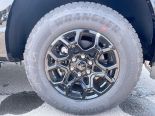 New 2025 Ford F-150 XLT 4x4 SuperCrew 5.5' Box