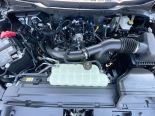 New 2025 Ford F-150 XLT 4x4 SuperCrew 5.5' Box