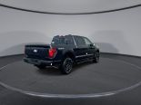 New 2025 Ford F-150 XLT 4x4 SuperCrew 5.5' Box