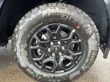 New 2025 Ford F-150 XLT 4x4 SuperCrew 5.5' Box