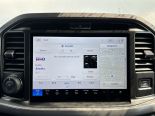 New 2025 Ford F-150 XLT 4x4 SuperCrew 5.5' Box
