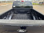 New 2025 Ford F-150 XLT 4x4 SuperCrew 5.5' Box