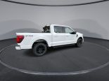 New 2025 Ford F-150 XLT 4x4 SuperCrew 5.5' Box