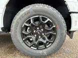 New 2025 Ford F-150 XLT 4x4 SuperCrew 5.5' Box
