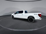 New 2025 Ford F-150 XLT 4x4 SuperCrew 6.5' Box