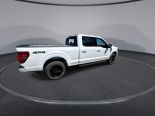 New 2025 Ford F-150 XLT 4x4 SuperCrew 6.5' Box