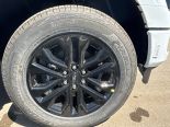 New 2025 Ford F-150 XLT 4x4 SuperCrew 6.5' Box