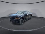 New 2025 Ford F-150 XLT 4x4 SuperCrew 5.5' Box
