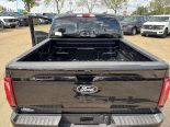 New 2025 Ford F-150 XLT 4x4 SuperCrew 5.5' Box