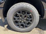 New 2025 Ford F-150 XLT 4x4 SuperCrew 5.5' Box