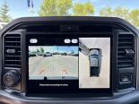 New 2025 Ford F-150 XLT 4x4 SuperCrew 5.5' Box