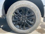 New 2025 Ford F-150 XLT 4x4 SuperCrew 5.5' Box