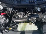 New 2025 Ford F-150 XLT 4x4 SuperCrew 5.5' Box
