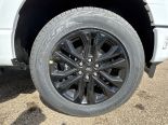 New 2025 Ford F-150 XLT 4x4 SuperCrew 6.5' Box