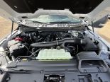 New 2025 Ford F-150 XLT 4x4 SuperCrew 6.5' Box