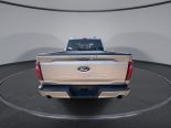 New 2025 Ford F-150 XLT 4x4 SuperCrew 5.5' Box