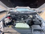 New 2025 Ford F-150 XLT 4x4 SuperCrew 5.5' Box