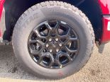 New 2025 Ford F-150 XLT 4x4 SuperCrew 5.5' Box