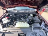 New 2025 Ford F-150 XLT 4x4 SuperCrew 5.5' Box