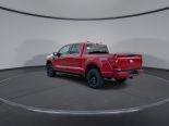 New 2025 Ford F-150 XLT 4x4 SuperCrew 5.5' Box
