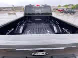 New 2025 Ford F-150 XLT 4x4 SuperCrew 5.5' Box