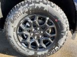New 2025 Ford F-150 XLT 4x4 SuperCrew 5.5' Box