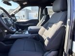 New 2025 Ford F-150 XLT 4x4 SuperCrew 5.5' Box