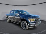 New 2025 Ford F-150 XLT 4x4 SuperCrew 5.5' Box