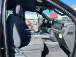 New 2025 Ford F-150 XLT 4x4 SuperCrew 5.5' Box
