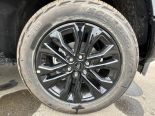 New 2025 Ford F-150 XLT 4x4 SuperCrew 5.5' Box