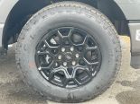New 2025 Ford F-150 XLT 4x4 SuperCrew 5.5' Box