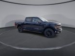 New 2025 Ford F-150 XLT 4x4 SuperCrew 5.5' Box