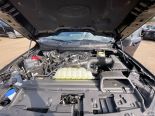 New 2025 Ford F-150 XLT 4x4 SuperCrew 5.5' Box