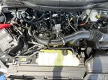 New 2025 Ford F-150 XLT 4x4 SuperCrew 5.5' Box